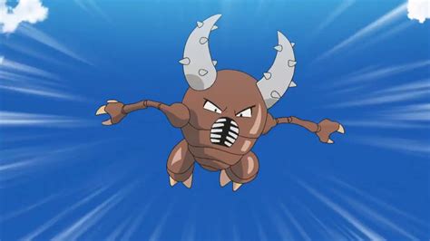 pinsir bulbapedia.